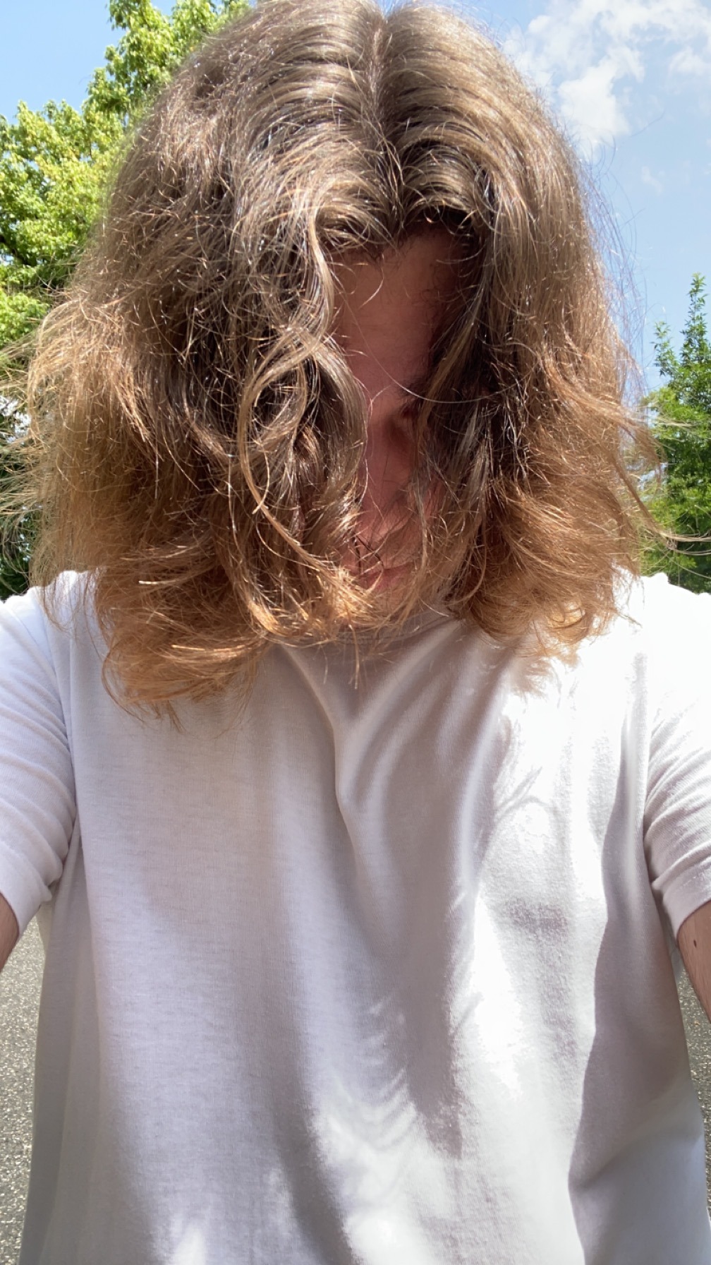 Profil de Taissir
