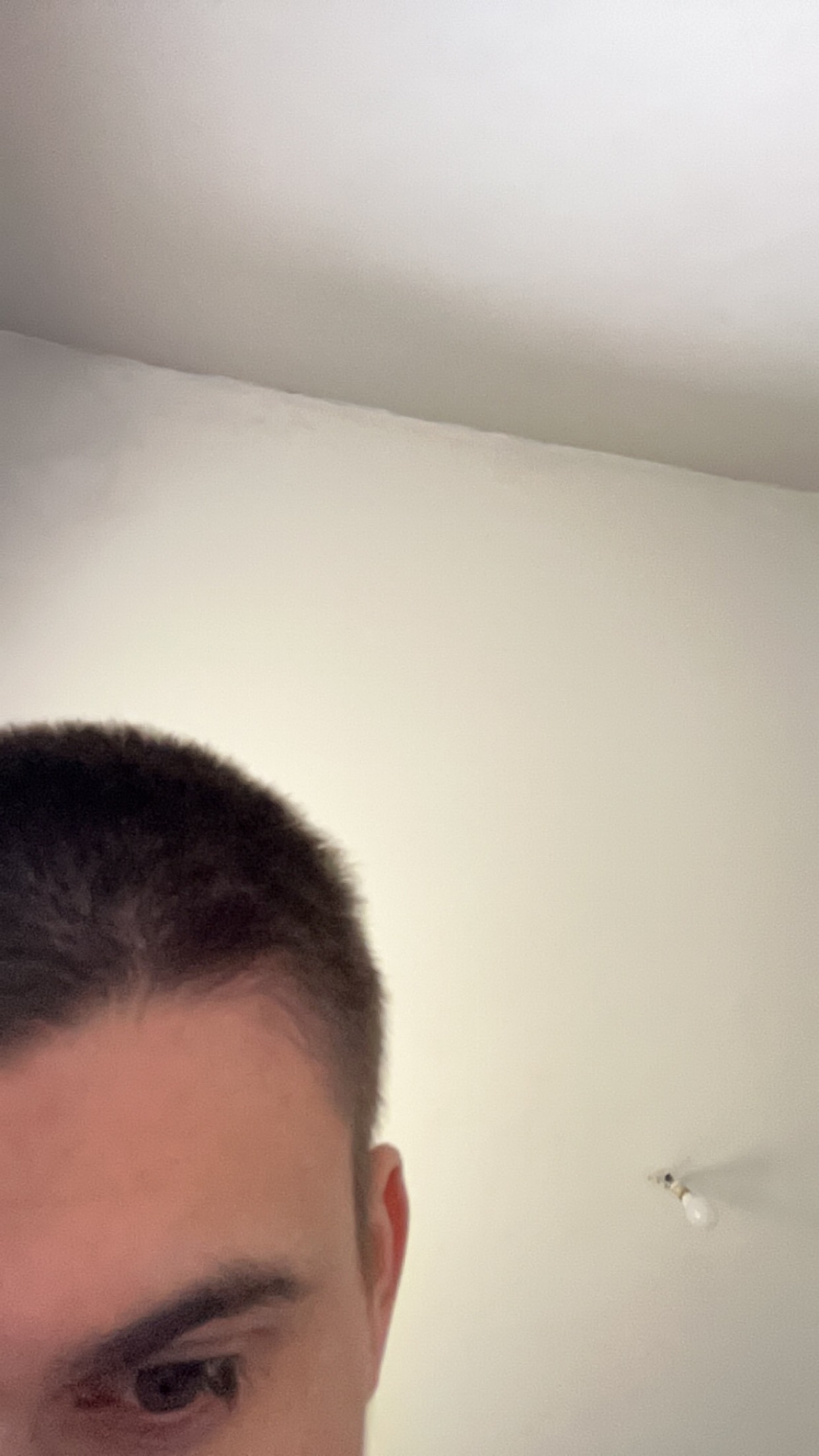 Profil de Bradlay
