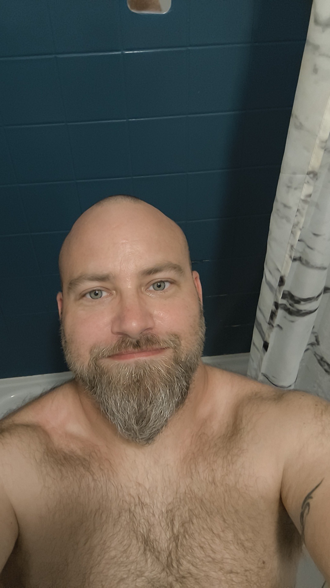 Profil de Cheik