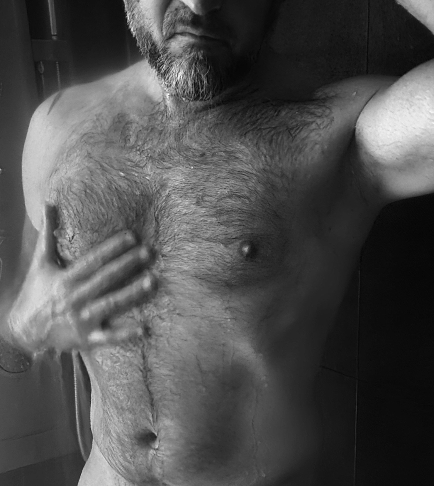 Profil de Chams-eddine